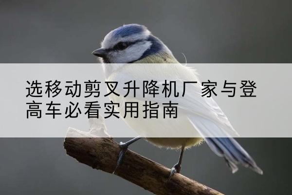 阳原电动升降机厂家-选移动剪叉升降机厂家与登高车必看实用指南
