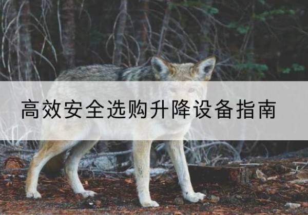 阳原升降货梯厂家推荐-*安全选购升降设备指南